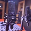 Stereo pár Audio Technica AT4050 (výměna možná)