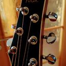 Kytara parlor Poul Guitars - možná výměna 