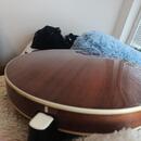 Ibanez B200 banjo 5 pětistrunné fivestring 