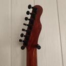 7 string CUSTOM TELECASTER + case