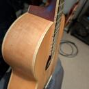Kytara parlor Poul Guitars - možná výměna 