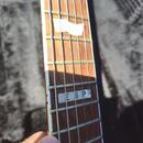 ESP ECLIPSE Japan 2009