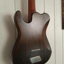 7 string CUSTOM TELECASTER + case