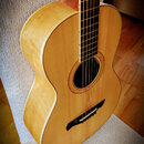 Kytara parlor Poul Guitars - možná výměna