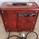 Squier SQ 15 - vintage kombo