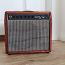 Squier SQ 15 - vintage kombo
