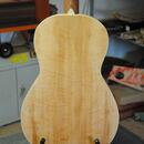 Kytara parlor Poul Guitars - možná výměna 