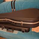 Kytara parlor Poul Guitars - možná výměna 