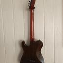 7 string CUSTOM TELECASTER + case