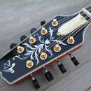 Mandolína A5
