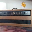 CARVIN VT 50