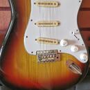Tacoma stratocaster Japan