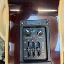 Washburn EA 45N