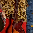 Baskytara LINE 6 variax bass 705