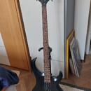 IBANEZ BTB 200  ve velmi dobrém stavu s pouzdrem.