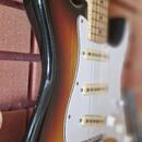 Tacoma stratocaster Japan