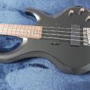 IBANEZ BTB 200  ve velmi dobrém stavu s pouzdrem.