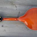 Mandolína A5