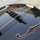 Mandolína A5