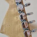Tacoma stratocaster Japan