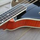 Mandolína A5