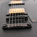 Epiphone Explorer Goth