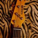 Baskytara LINE 6 variax bass 705