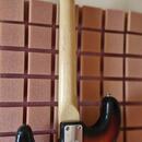 Tacoma stratocaster Japan