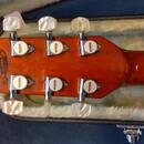 Washburn EA 45N