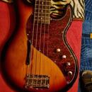 Baskytara LINE 6 variax bass 705