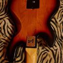 Baskytara LINE 6 variax bass 705