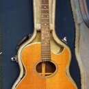 Washburn EA 45N