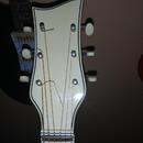  Marma Archtop Parlor