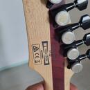 Ibanez RGDIX7MPB