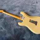 Fender Eric Johnson Thinline Stratocaster