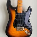 EMG aktive Partscaster