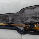 Fender USA Professional HS Telecaster 2013 - rarita