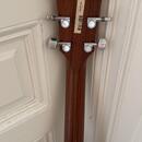 Prodám akustickou kytaru Taylor Model 110