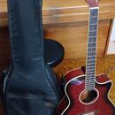 Elektroakustika Crafter EG-110CEQ/RS