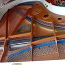 Klavír PETROF model V (160cm)