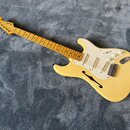 Fender Eric Johnson Thinline Stratocaster