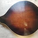 Celomasivní mandolína FURCH Ma-2 typ A