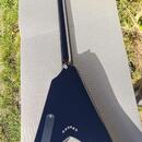 Fokus Flying V