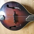 Celomasivní mandolína FURCH Ma-2 typ A