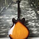 2012 semi-hollow body Epiphone Dot 