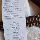 GIBSON Explorer, USA 2012
