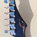 Fokus Flying V