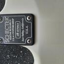 Schecter Nick Johnston USA  Custom Shop 