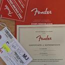 Fender Telecaster  1.majitel