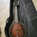 Celomasivní mandolína FURCH Ma-2 typ A
